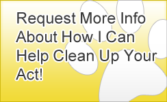 Request More Info About How I Can Help Clean Up Your Act! Banner